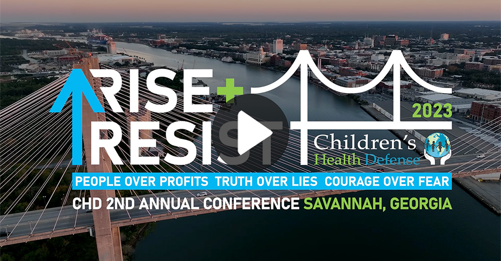 Rise & Resist 2023 CHD Conference header image with play but