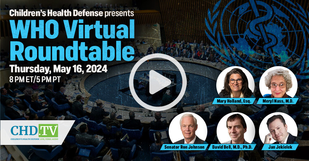 WHO Virtual Roundtable Video Preview with Play Button