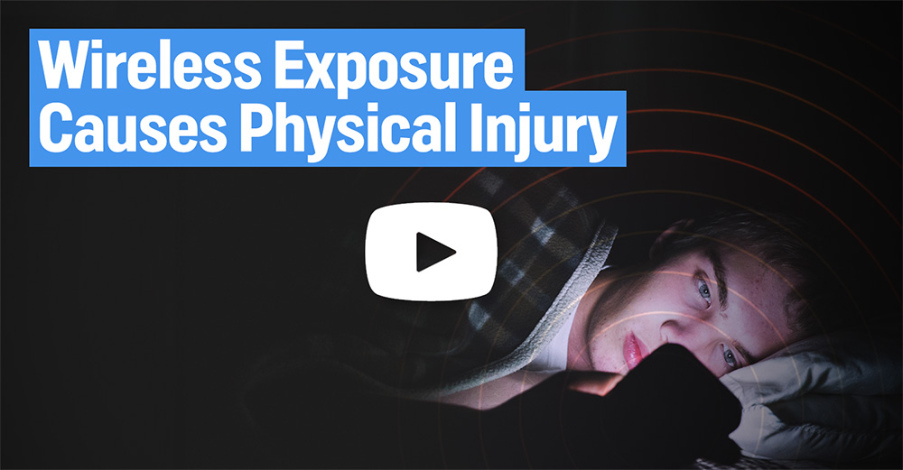 Wireless Exposure Causes Physical Injury PlayButton