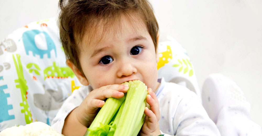 acephate pesticide celery food