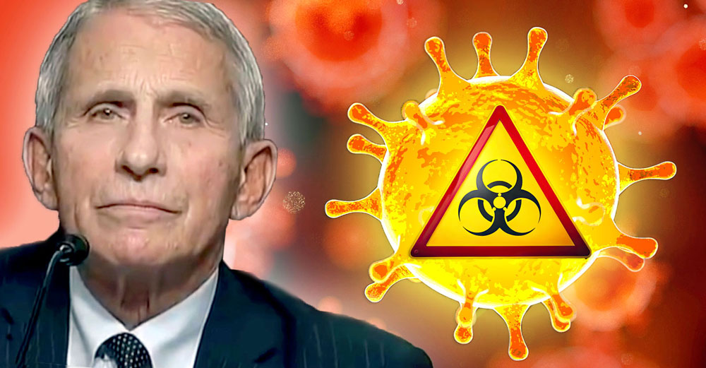 anthony fauci covid bioterrorist