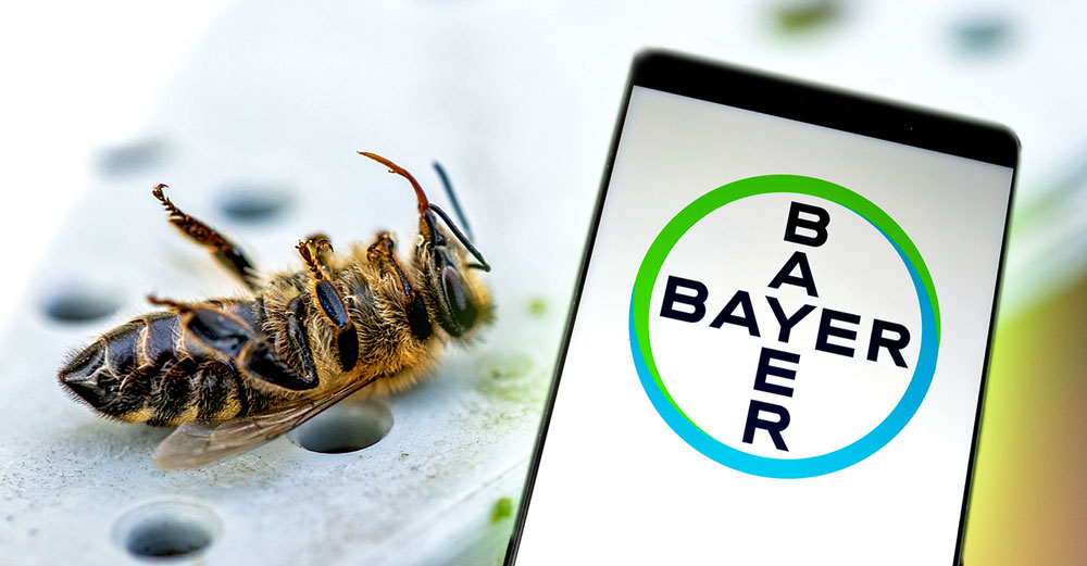 bayer pesticides kill bees spin