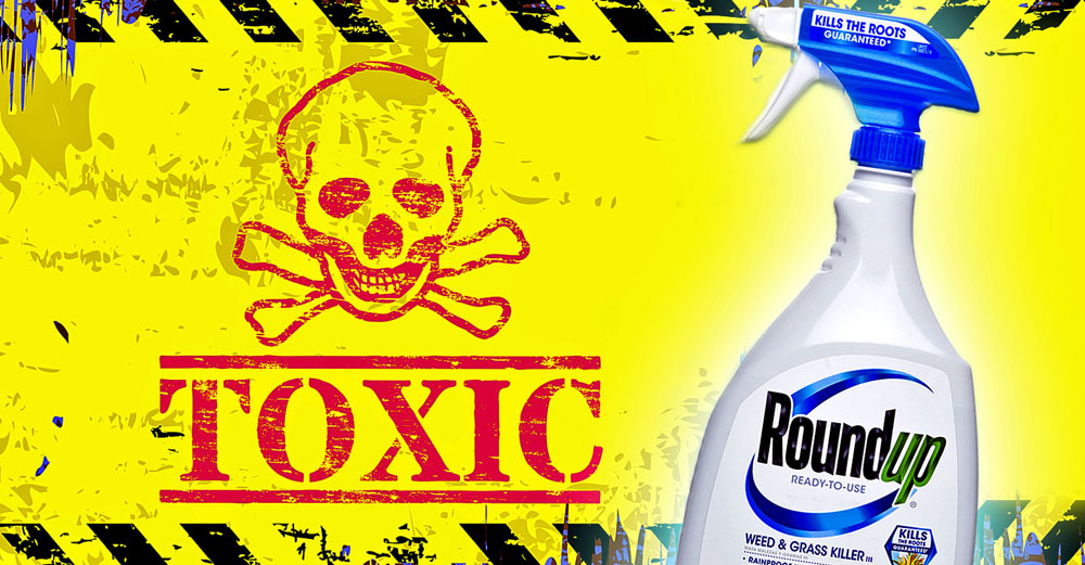 bayer roundup more toxic