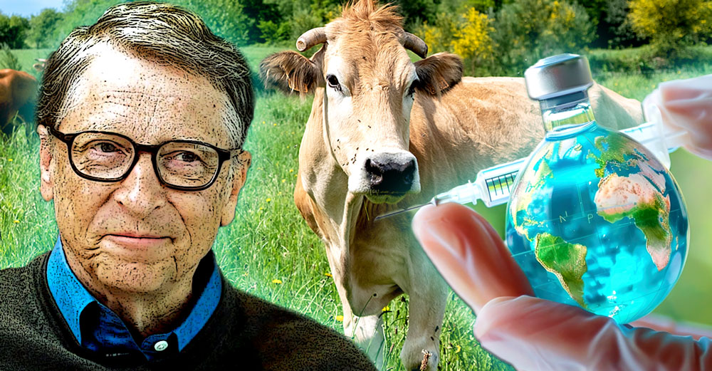 bill gates climate vaccines