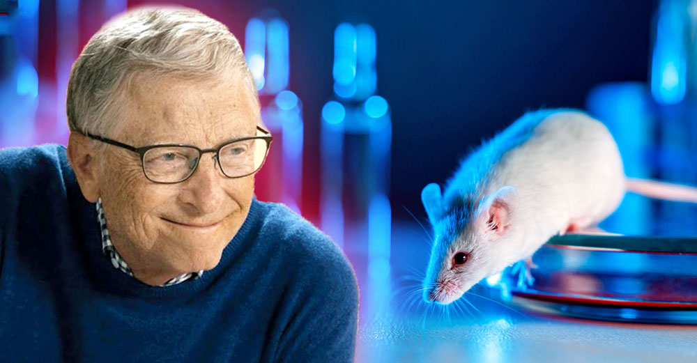 bill-gates-india-lab-rats