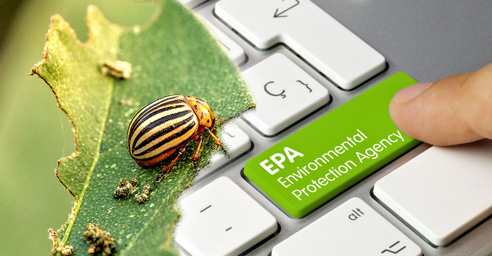 biopesticide potato beetle epa