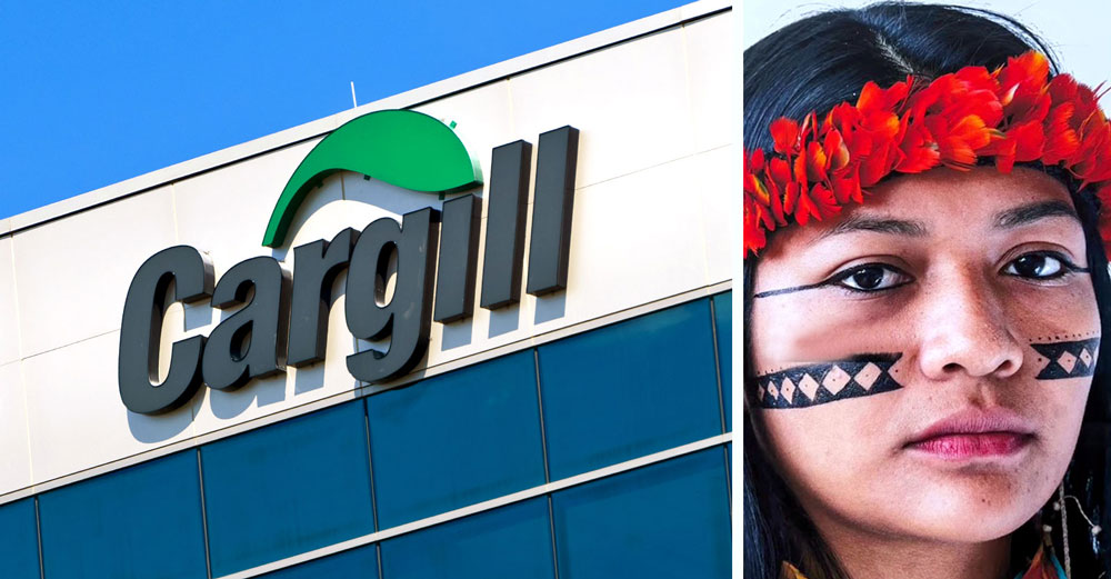 cargill amazon destruction