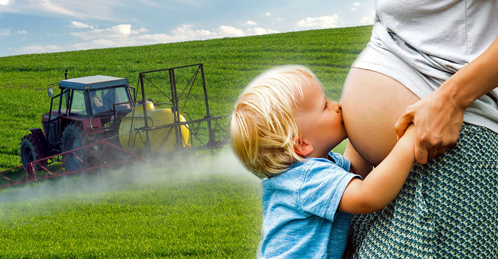 children pregnant woman chemicals
