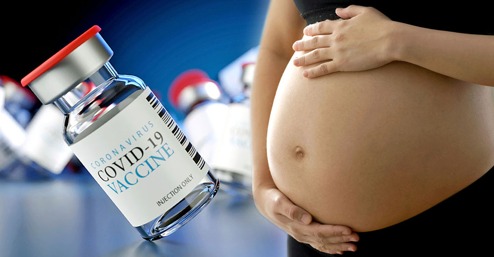 covid vaccine pregnant newborns harvard