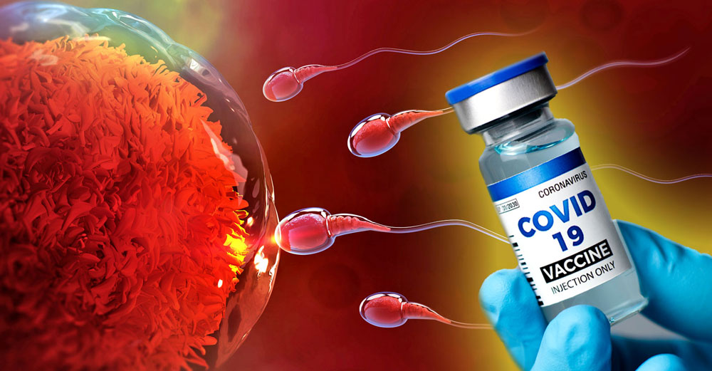 covid-vaccines-egg-supply