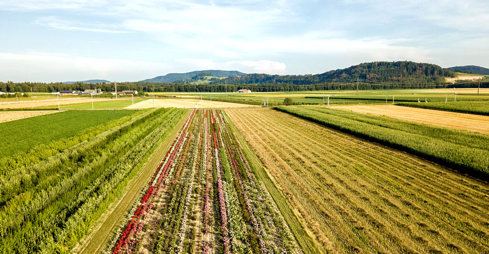 diversified farming people planet