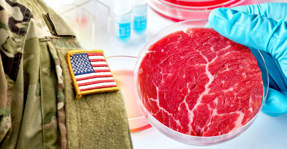 dod soldiers fake meat