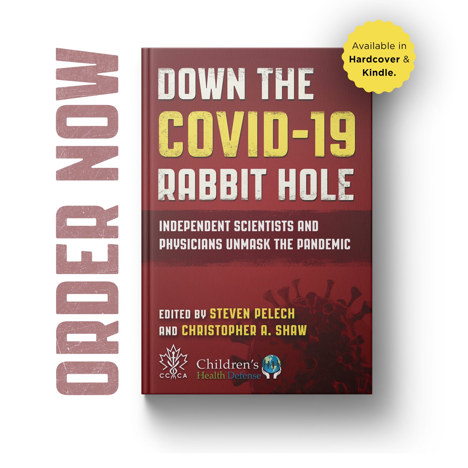 down-the-covid-19-rabbit-hole-book-cover