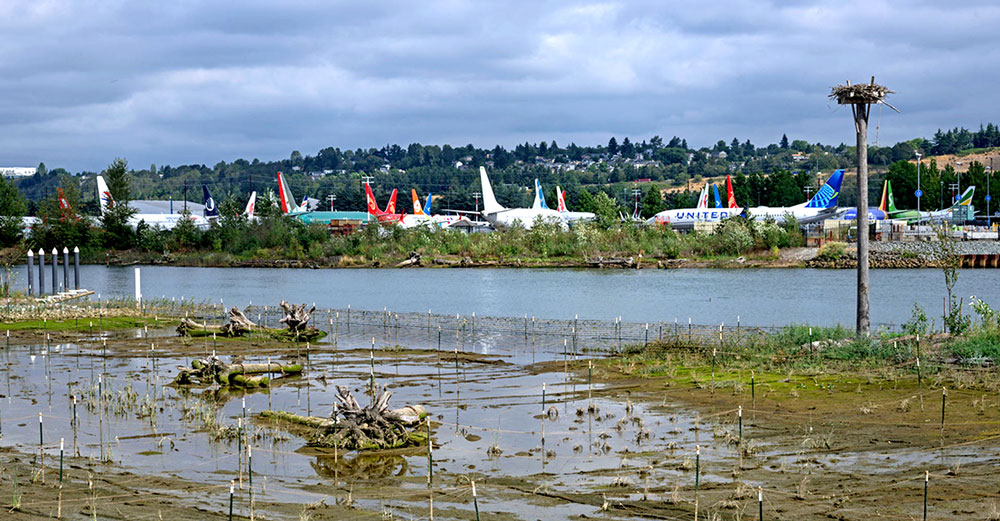 duwamish river seattle boeing