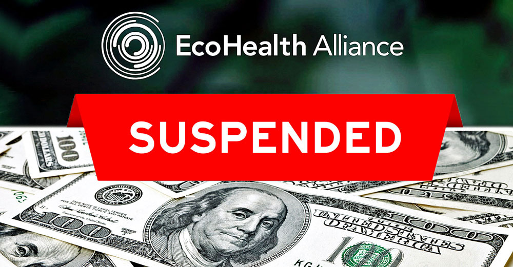 ecohealth alliance funding suspended