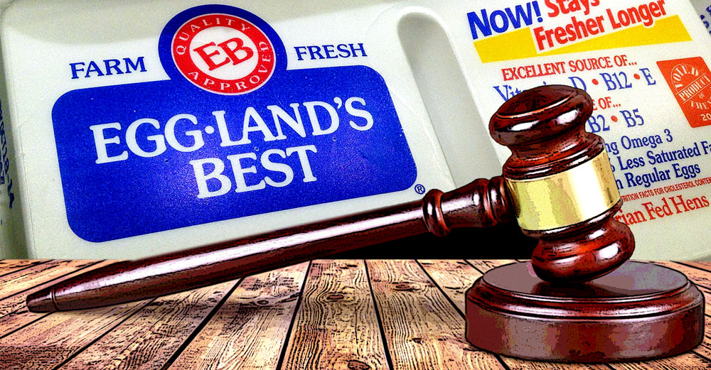 egglands best lawsuit