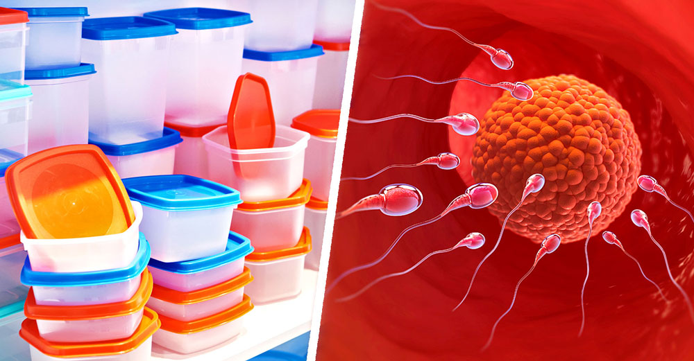 endocrine-disruptors-egg-supply