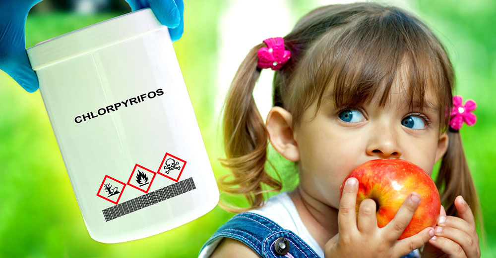 epa chlorpyrifos kids food pesticides