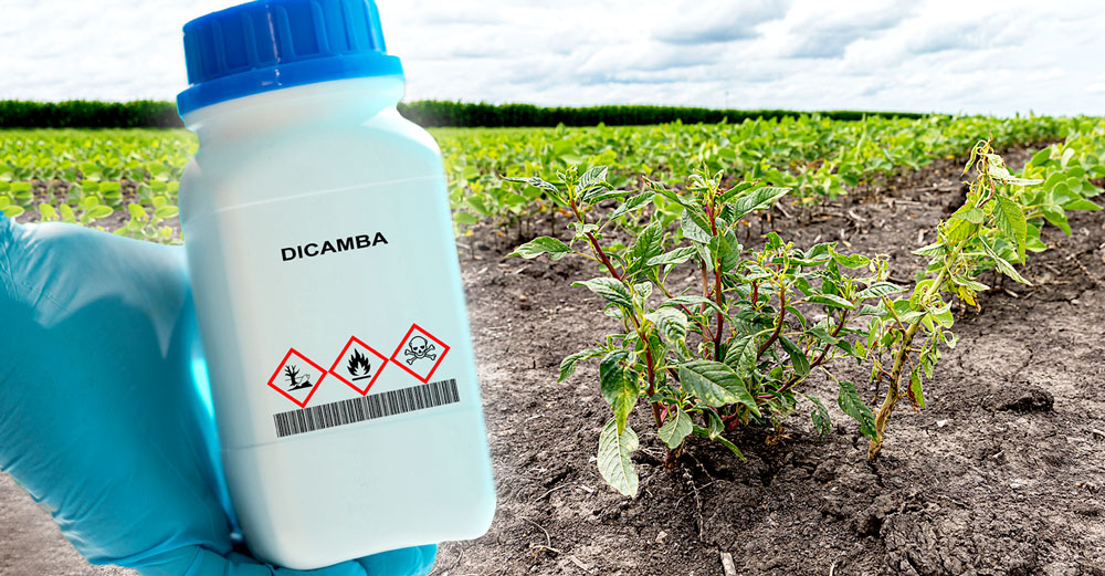 epa fails ban dicamba toll