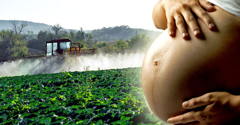 epa herbicide unborn babies