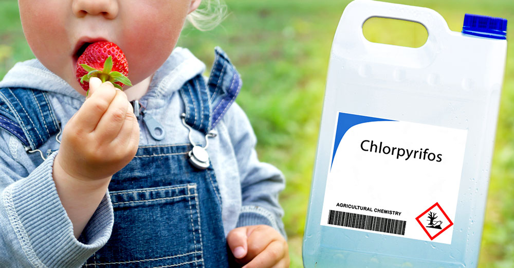 epa-partial-ban-chlorpyrifos-babies