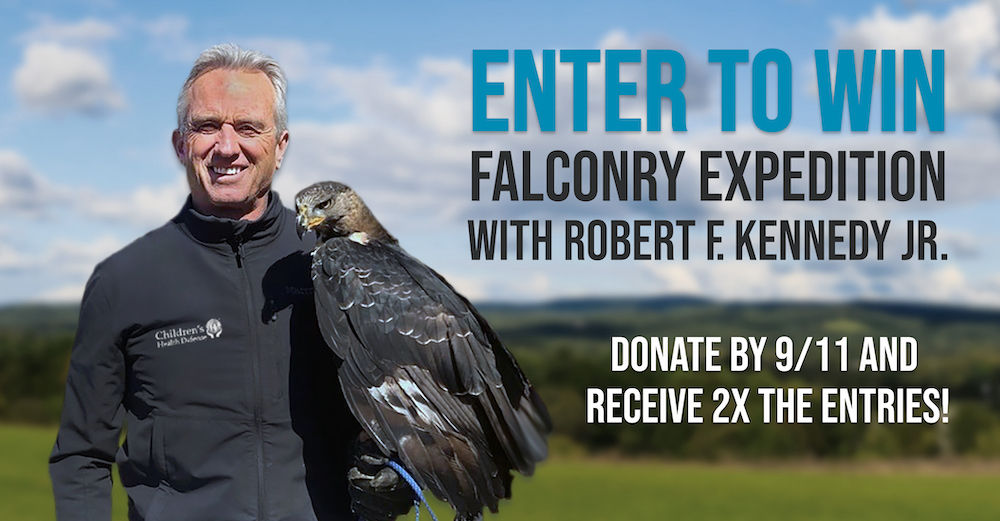 Enter to win a falconry expedition with RFK Jr.