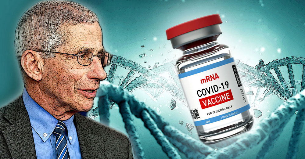 fauci dna mrna covid vaccines