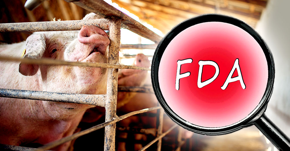 fda-plan-antibiotics-factory-farm-fail