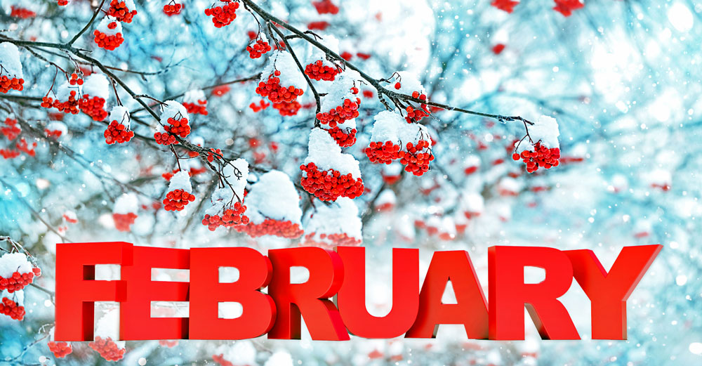 february community calendar