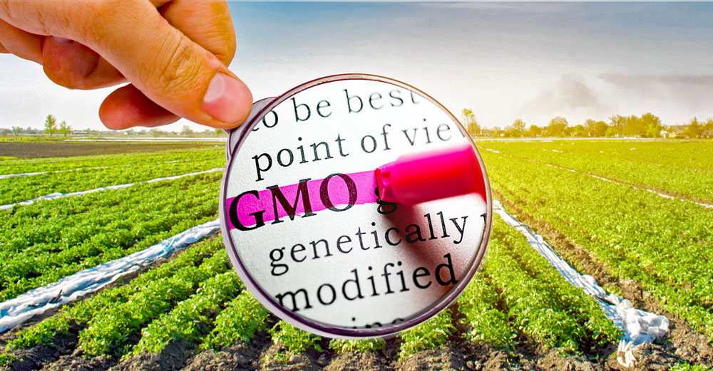 federal court gmo