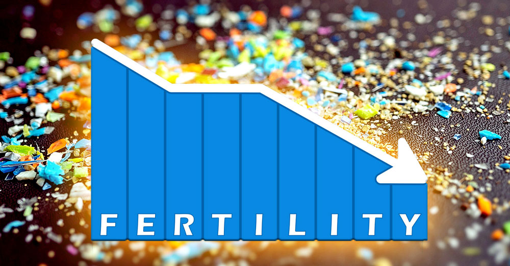 fertility decline microplastics