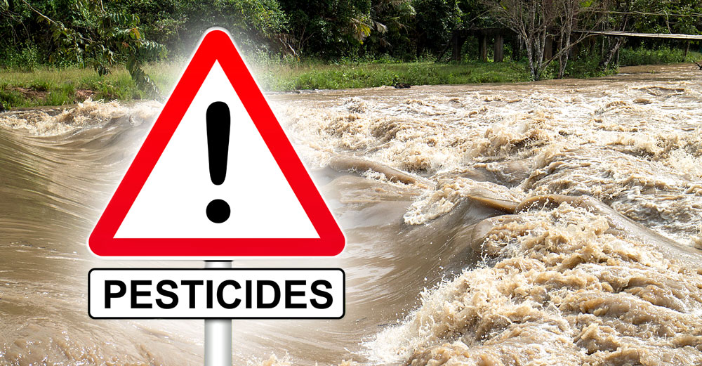 flood contamination pesticides