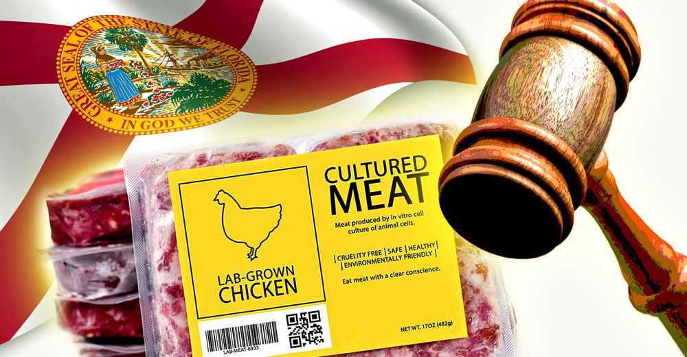 florida ban uphold lab grown meat