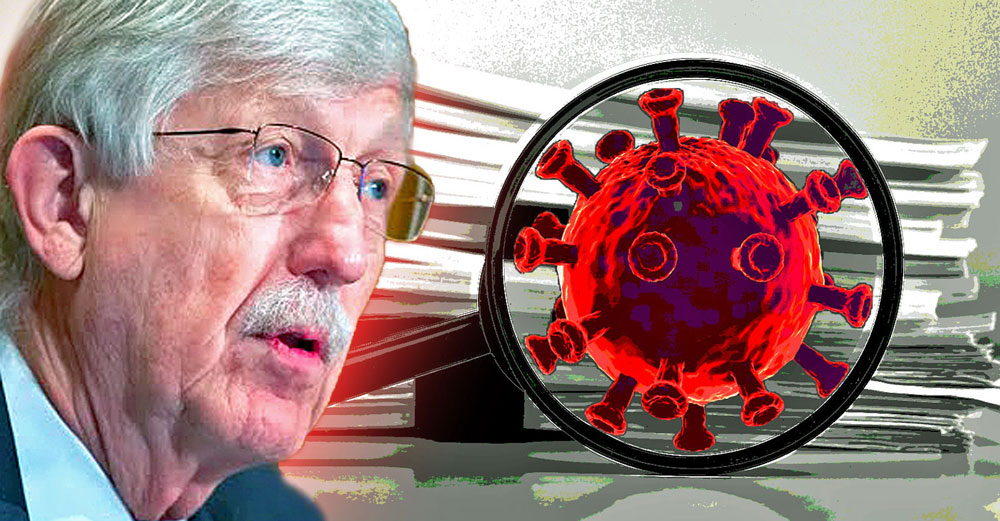 francis collins covid foia