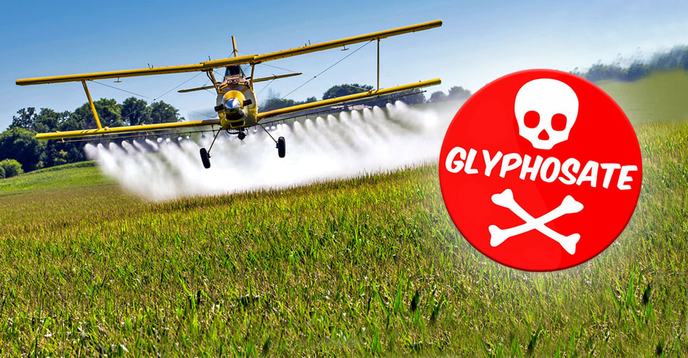 glyphosate aerial spraying weedkiller