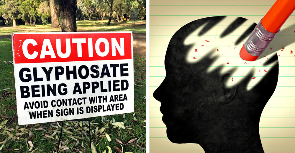 glyphosate-brain-inflammation-health