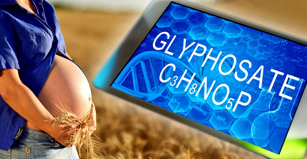 glyphosate pregnant women farm