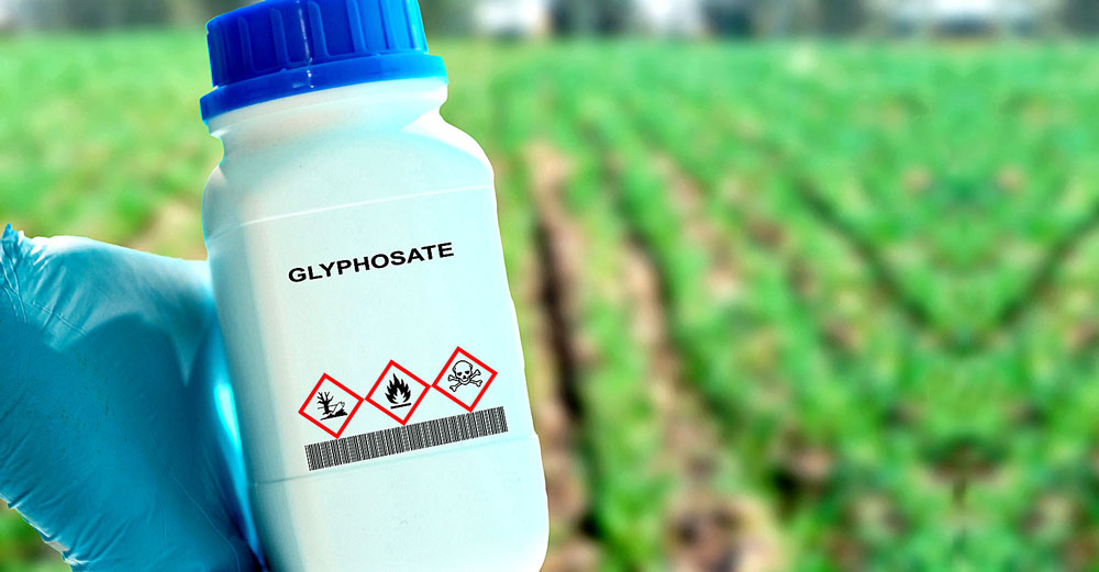 glyphosate toxic destroys health