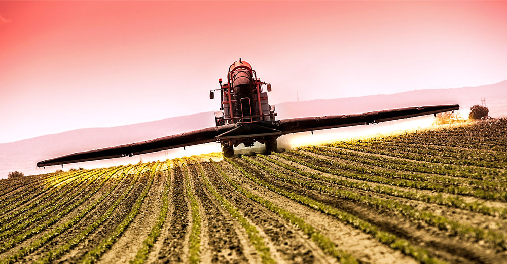 gmo-soybean-toxic-pesticides