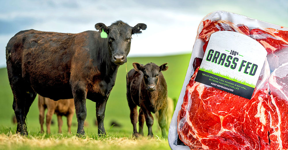 grass-fed-beef-better-health