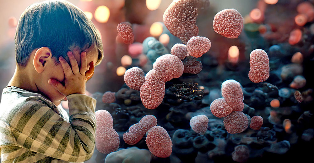 gut microbiome autism