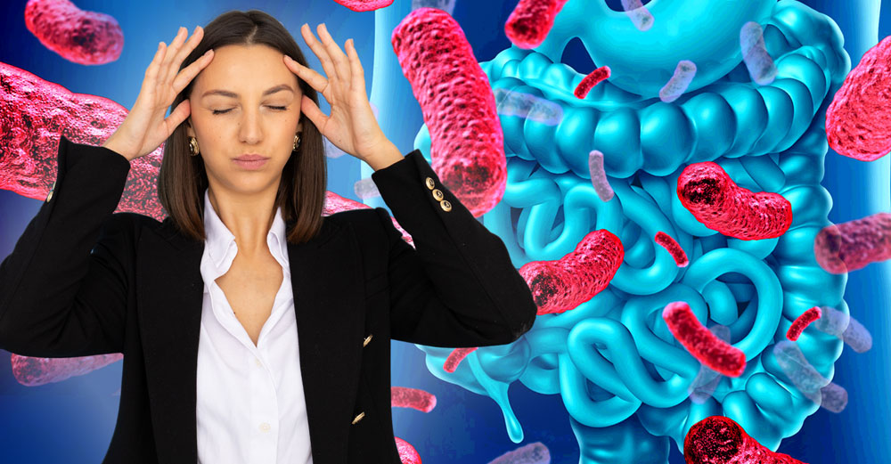 gut microbiome stress