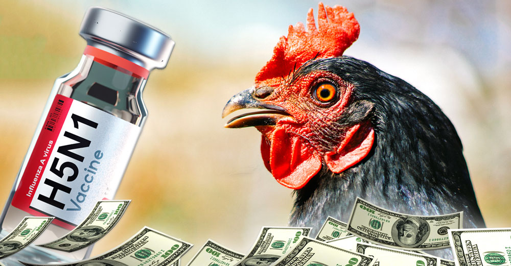 h5n1 bird flu vaccine profit