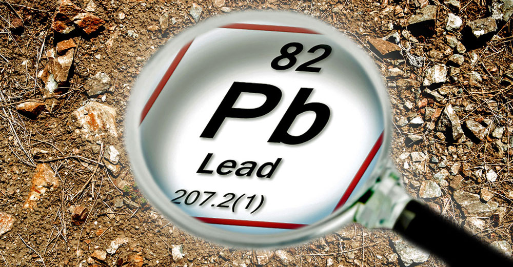 high lead levels contaminated soil