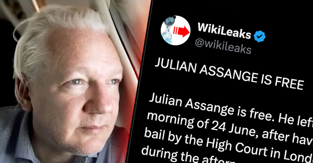 julian assange wikileaks press