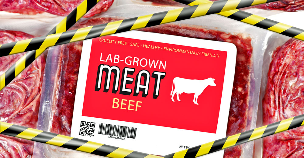 lab grown synthetic food dangerous