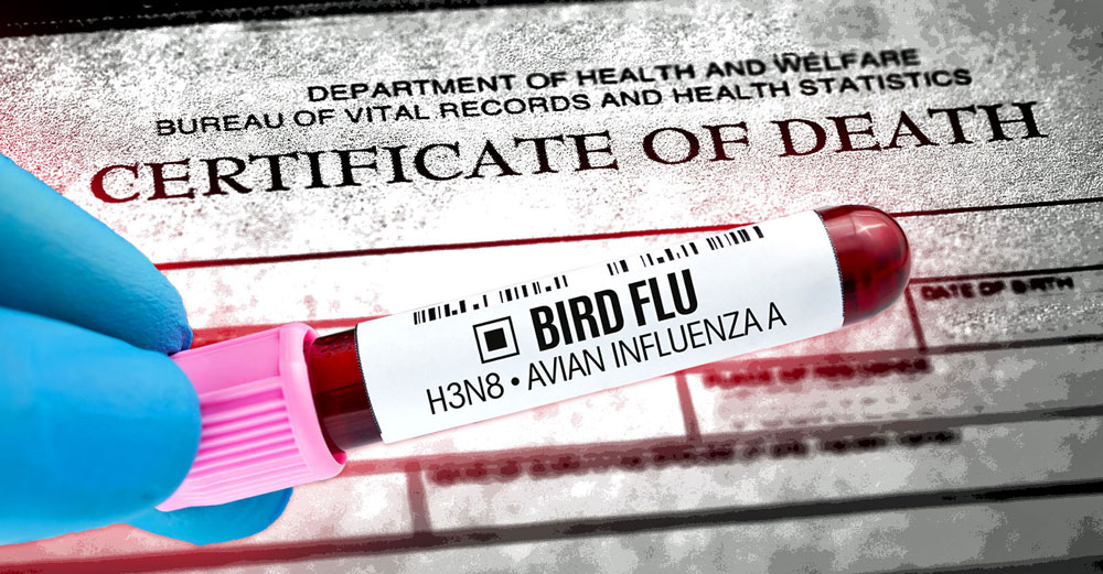 louisiana-bird-flu-death-unclear