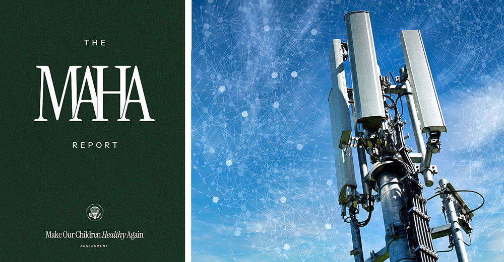 maha-report-wireless-radiation