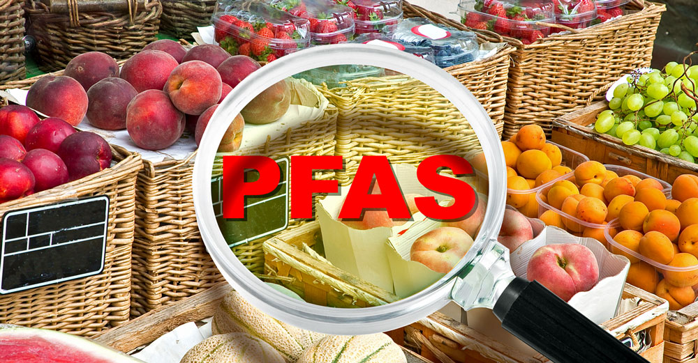 maine organic farm pfas contamination