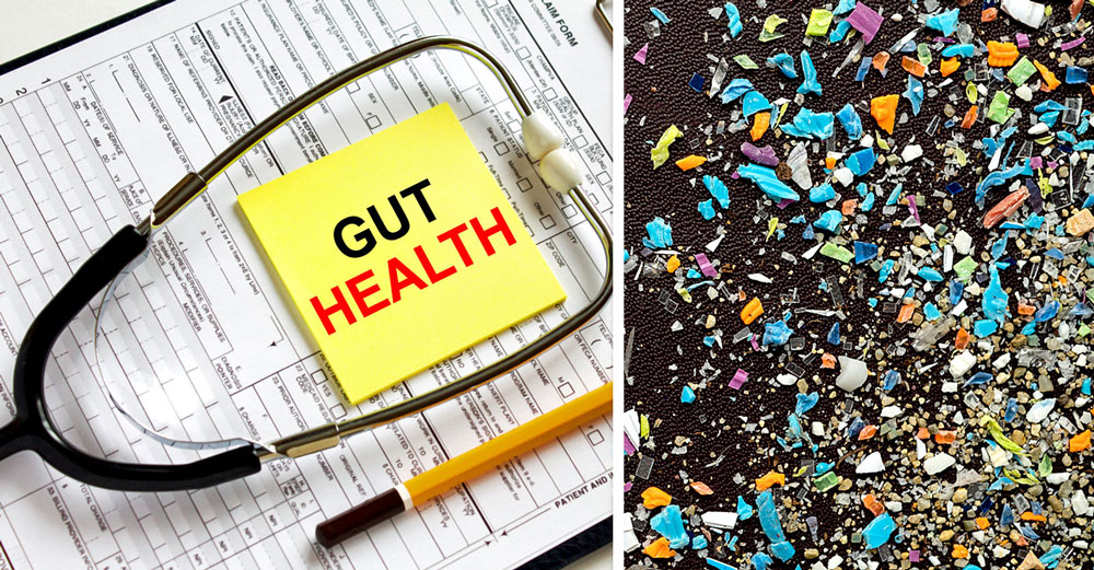 microplastics gut health